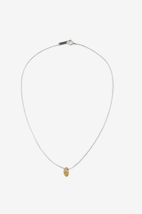 COLLAR ROCK MAN