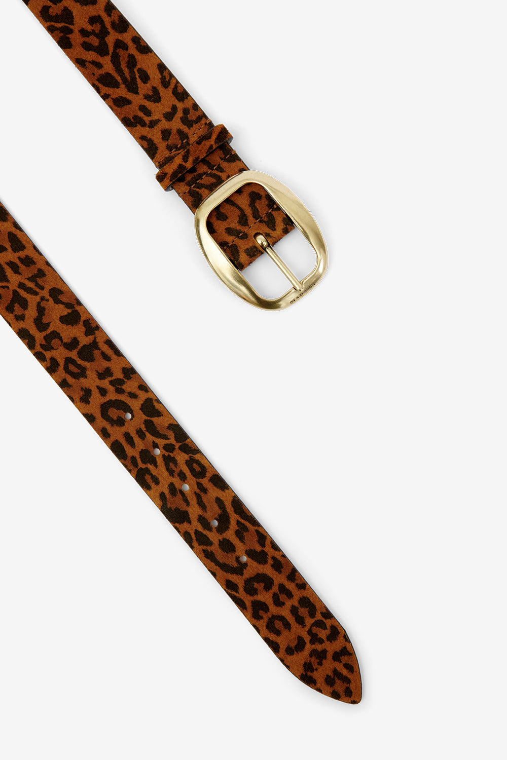 Ceinture dara en cuir de veau velours - Léopard - Woman - 3